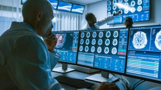 Provider viewing scans of a brain on the computer