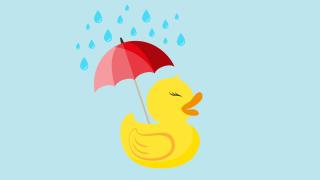 yellow duck with red umbrella and rain on light blue background