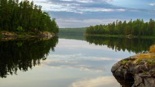 minnesota lake with pine trees lining the shoreline