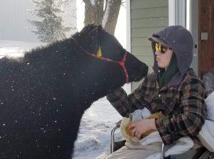 Brenden Bryce with his cow Legacy