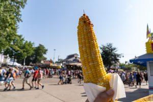 Corn On A Stick