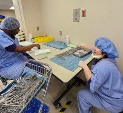 Content Projectsearch Kinikki