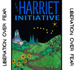 harriet initiative graphic for program against violence and trauma, the next step harriet initiative, empowering through trauma recovery, next step program, trauma education, helping families who have experienced violence, traumatic experience, community education about violence