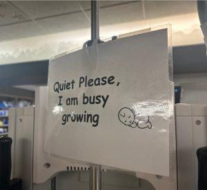 Nicu Sign, A day-in-the-life, NICU Medical Director, Dr. Cristina Miller, pediatrics, Neonatal Intensive Care Unit