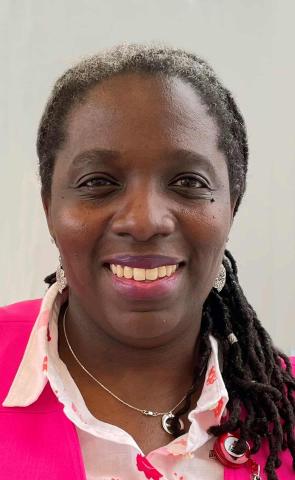 Nneka O. Sederstrom, named Chief Health Equity Officer, health equity, dei, diversity equity and inclusion