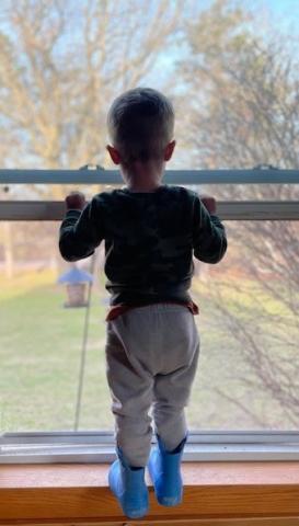 child looking out of window