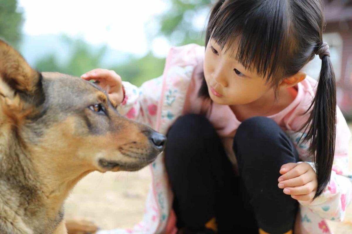 A Girl Touching A Dog.