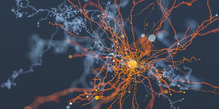 brain activity, local writer Megan Bacigalupo, tbi survivor, neurosurgery team, icu nurses, subarachnoid ruptured aneurysm, stroke, trauma to the brain