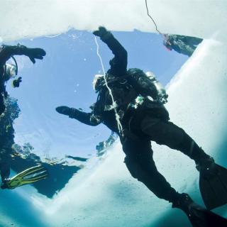Two divers in water 