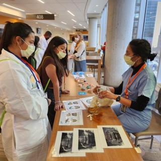 Students at a table learning about medical models and anatomy from a healthcare professional.