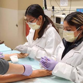 Students practicing medical procedures on mannequin arms during a hands-on activity.