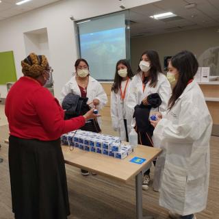 Panel of medical staff speaking to students during an orientation session.