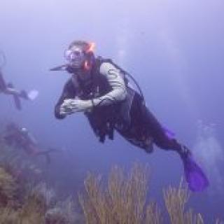 Logue And Wudtke Dive Honduras 2