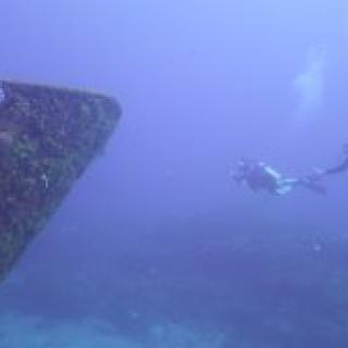 Logue And Wudtke Dive Honduras